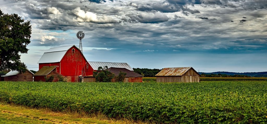 A field of soy and a barn and multiple buildings